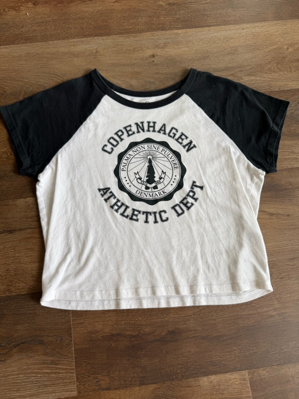 Hollister Black & White Raglan Graphic Tee